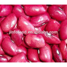 small Red Kidney Beans
